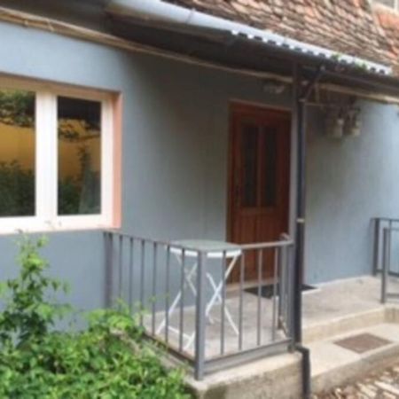 Lamp Street Apartment Сибиу Екстериор снимка